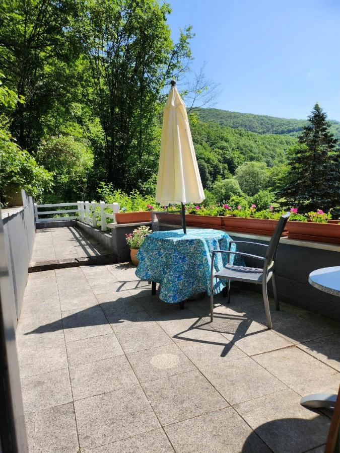 Gaestehaus Beurener Muehle Bad Bertrich Kültér fotó
